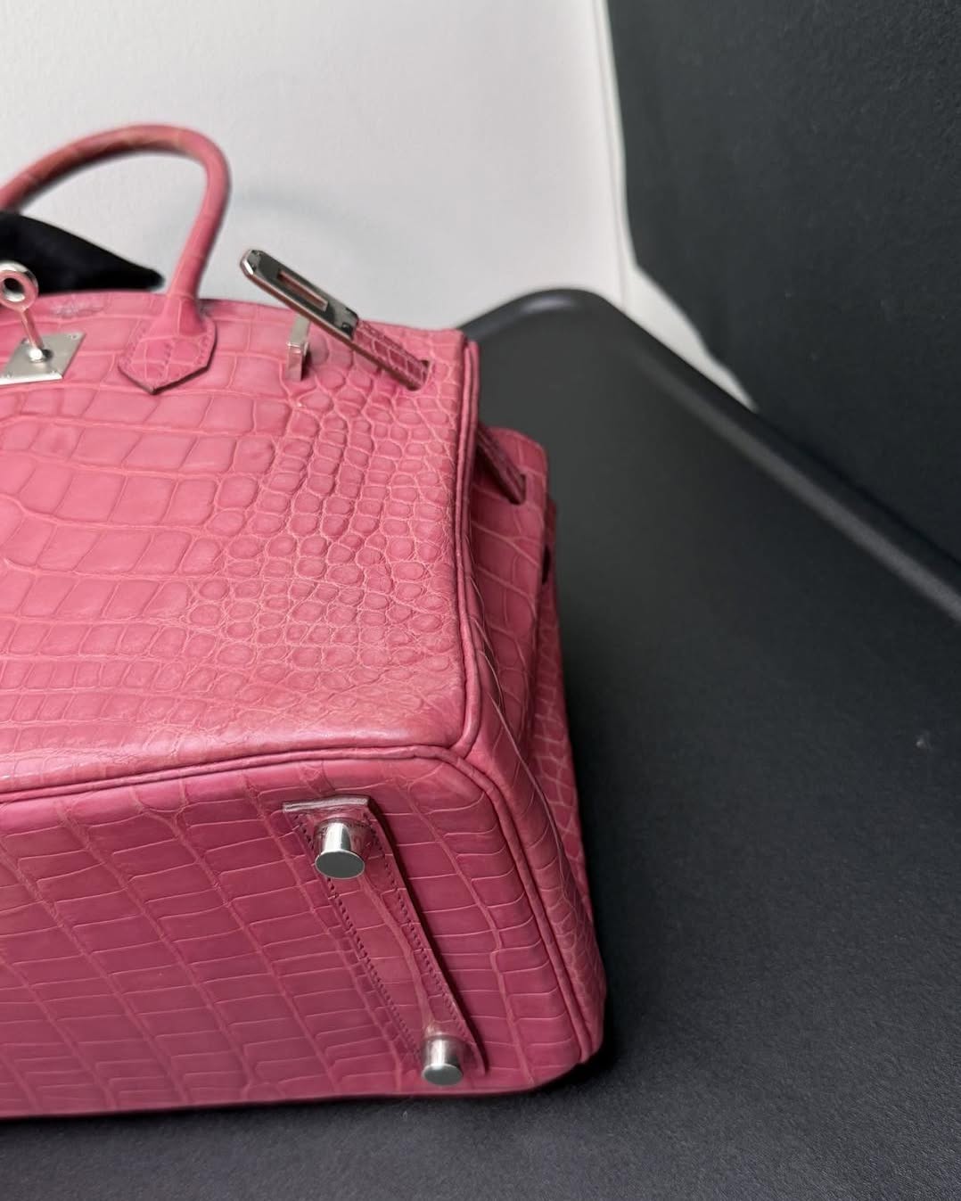 Birkin 25 🐊