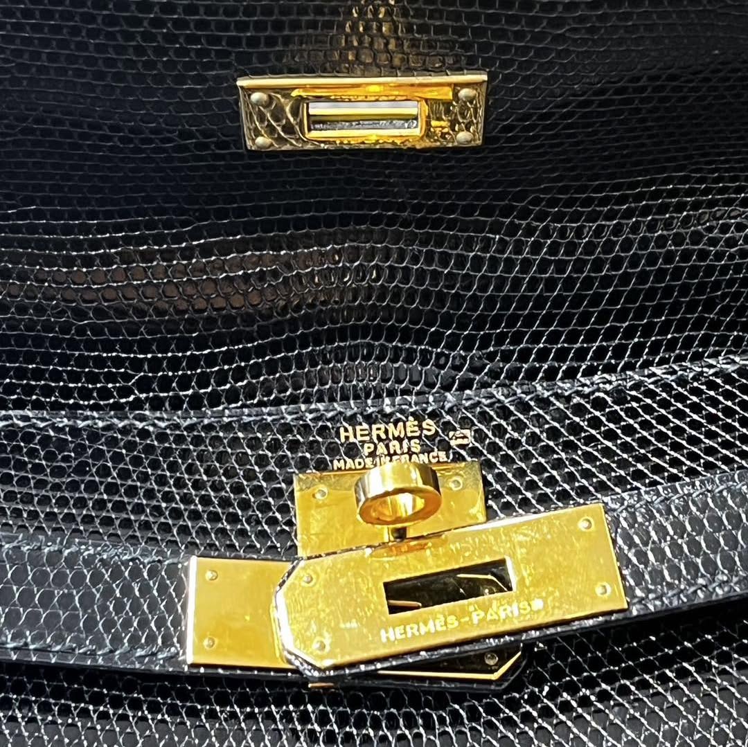 Kelly 28🦎 $18,527