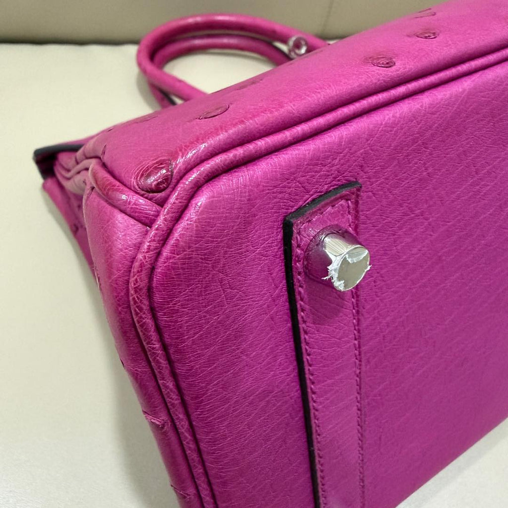 Birkin 30 Magnolia