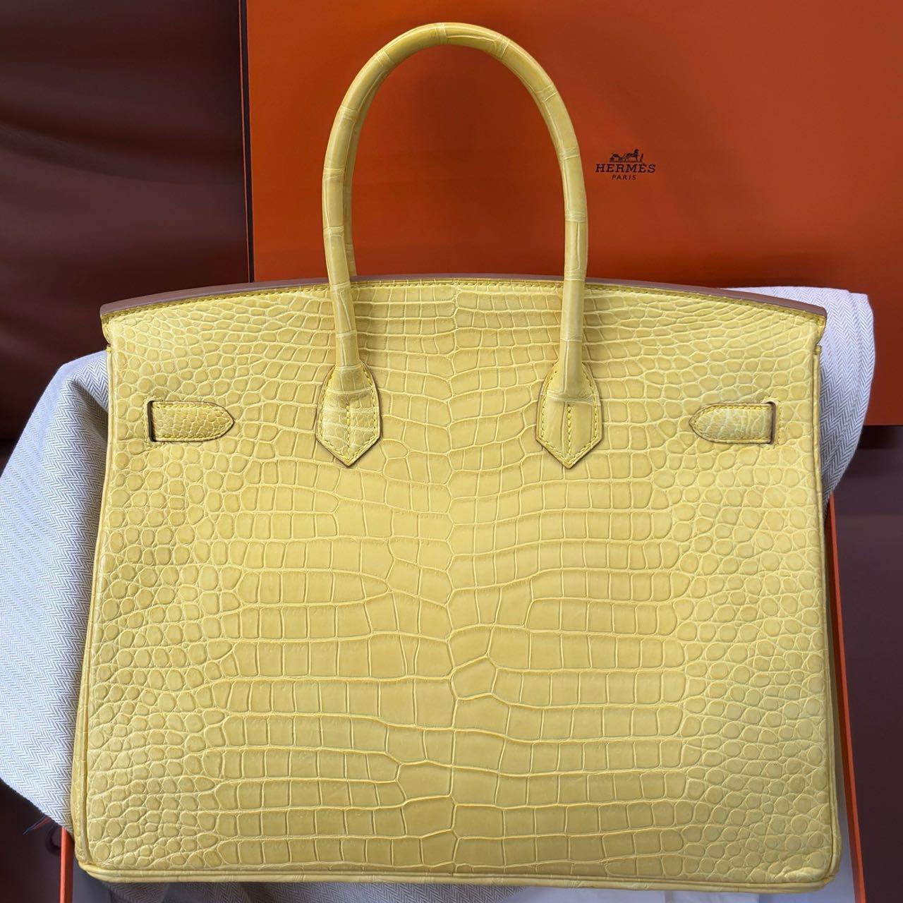 Birkin 35 Mimosa 🐊