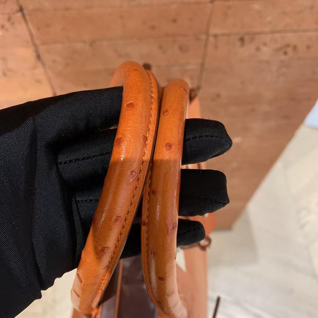 Birkin 30 Orange Ostrich