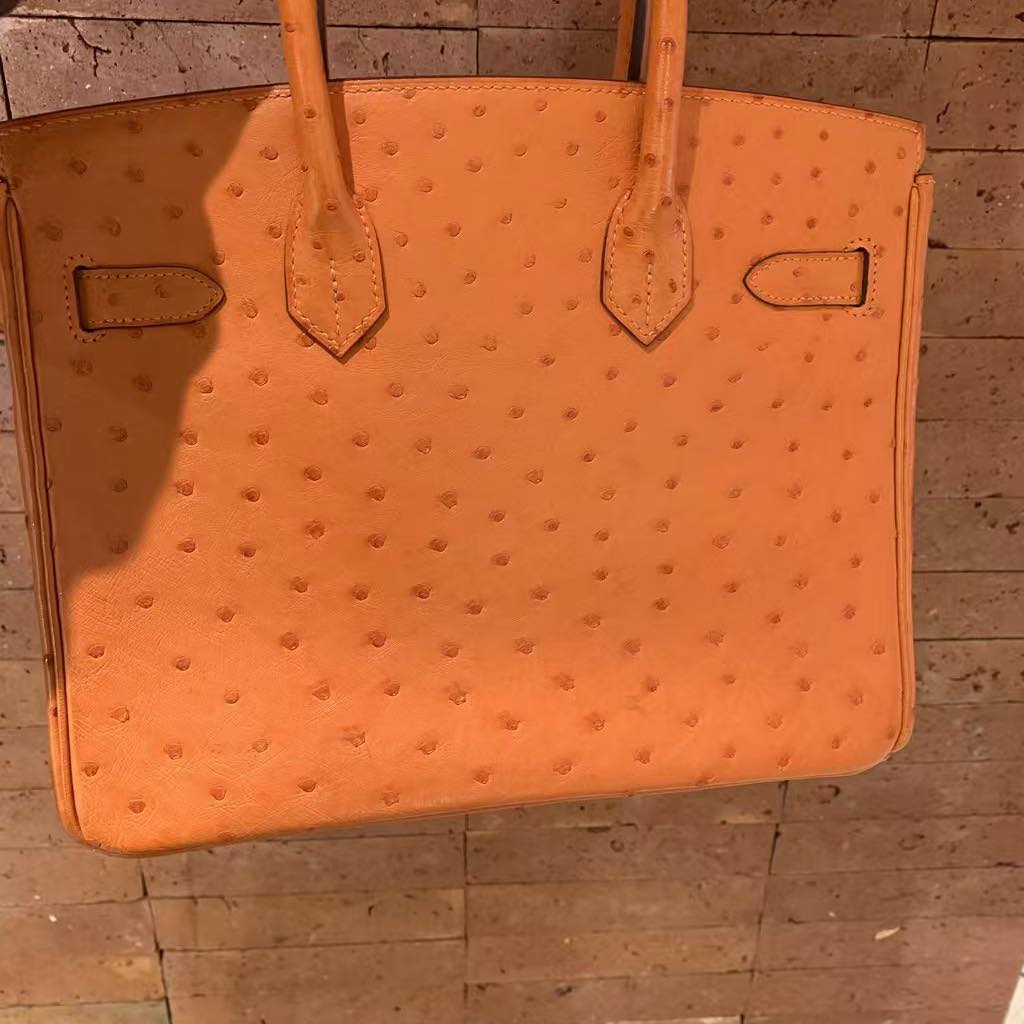 Birkin 30 Orange Ostrich