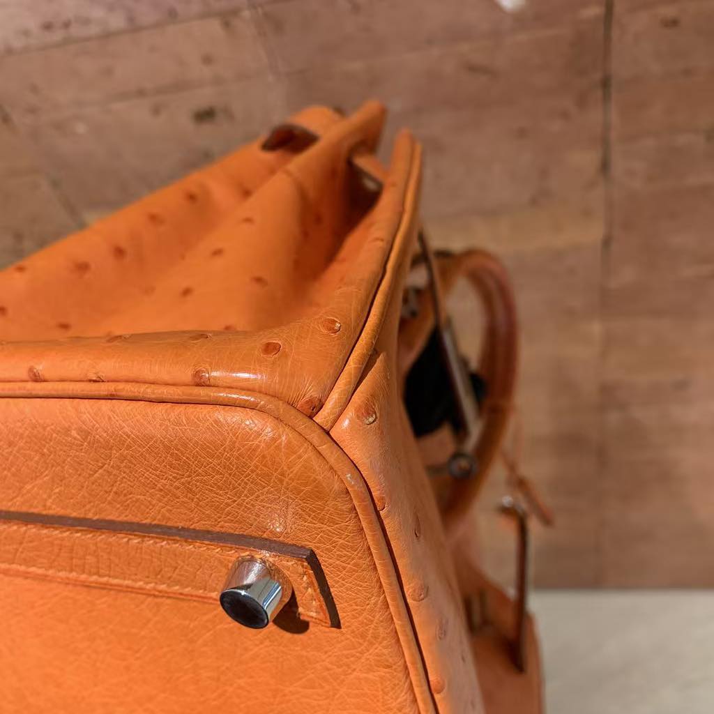 Birkin 30 Orange Ostrich