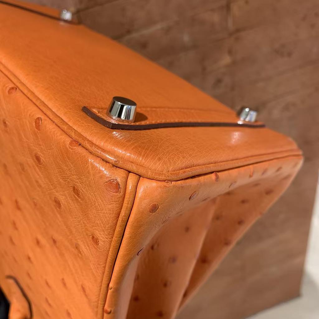 Birkin 30 Orange Ostrich