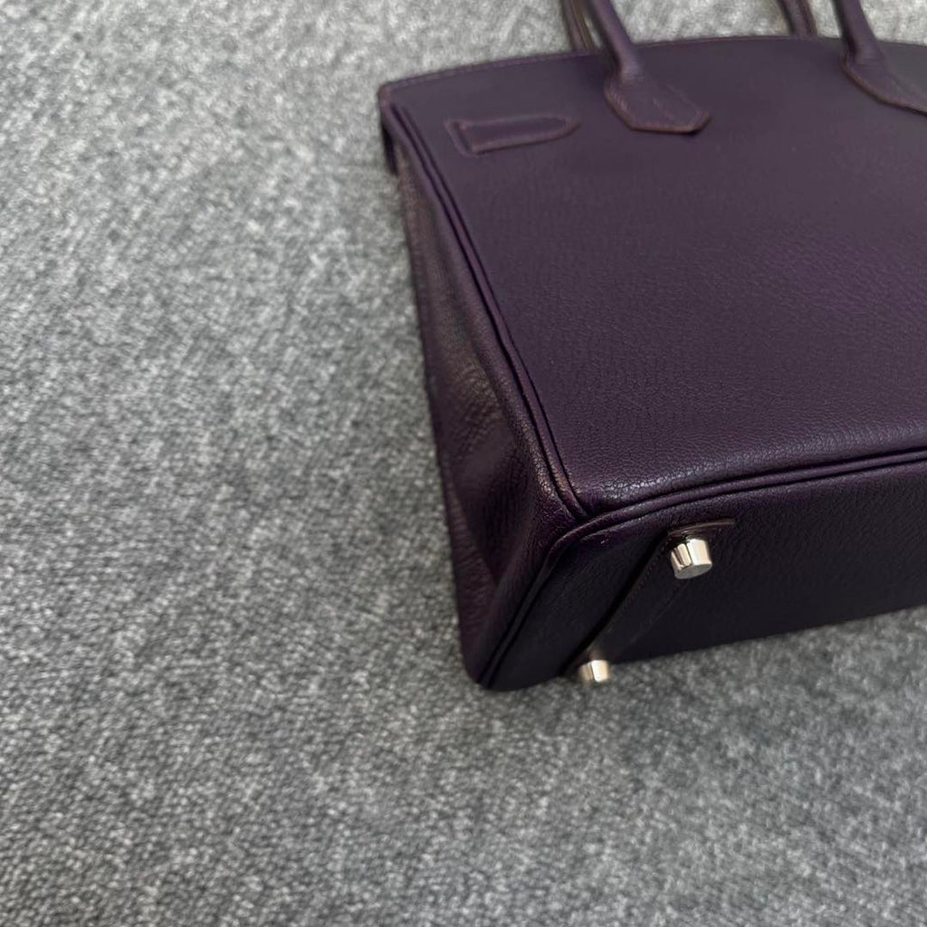 Birkin 30 Raisin