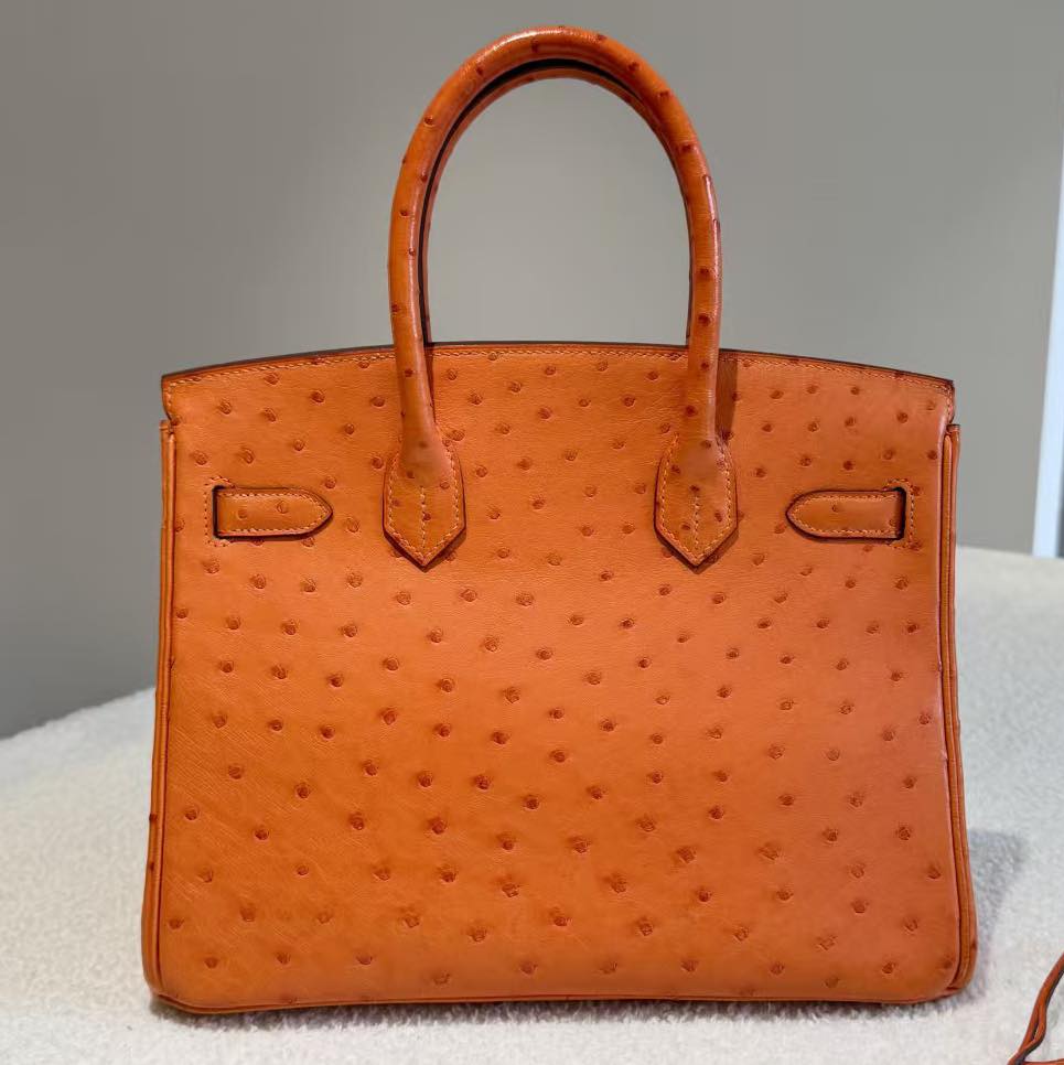 Birkin 30 Orange Ostrich