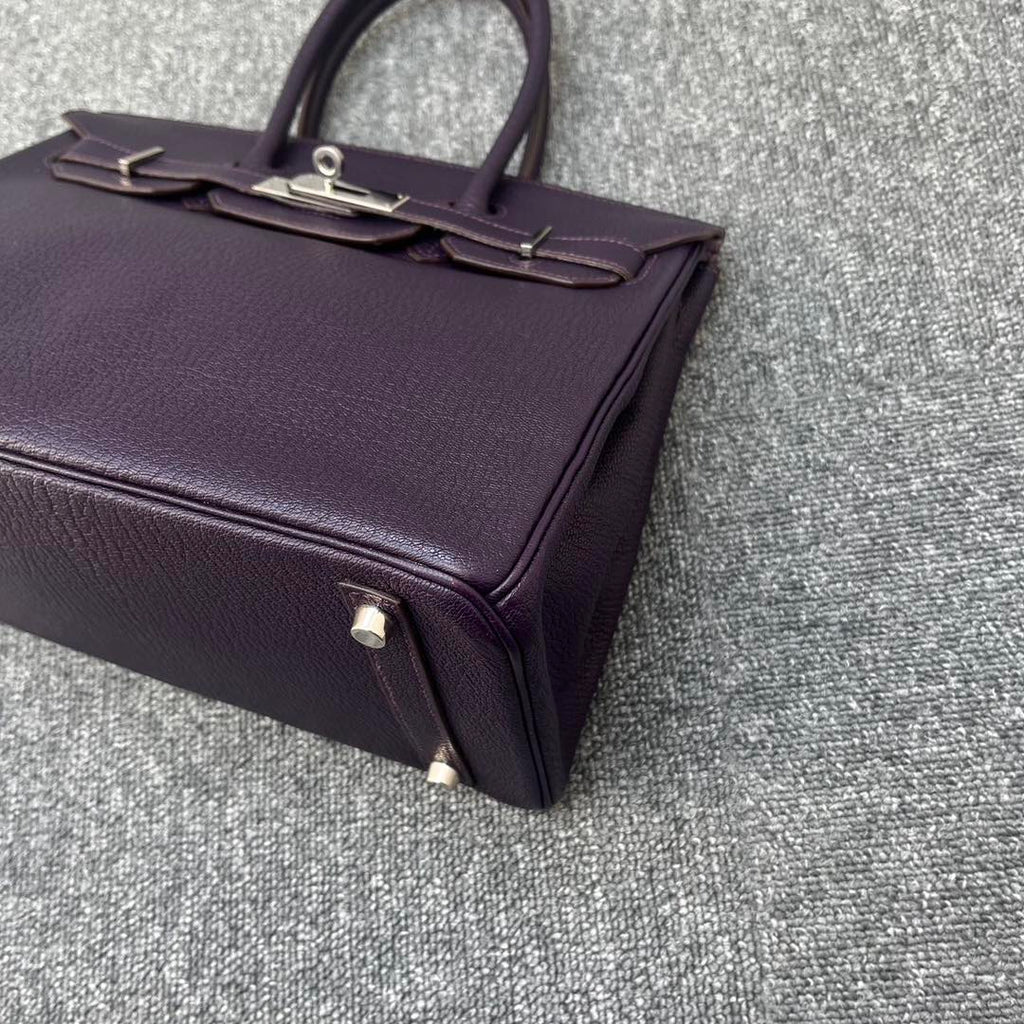 Birkin 30 Raisin