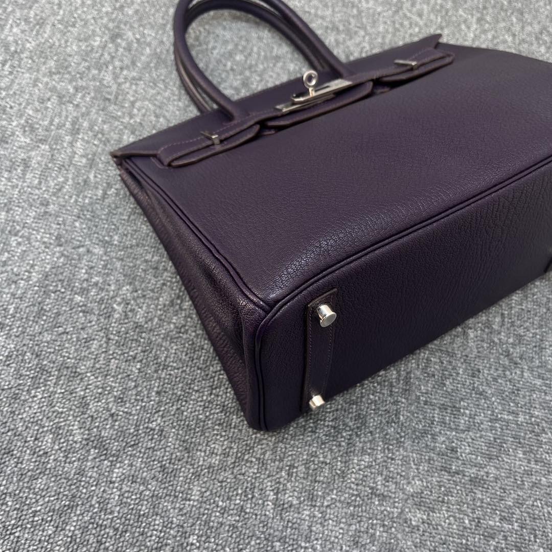 Birkin 30 Raisin