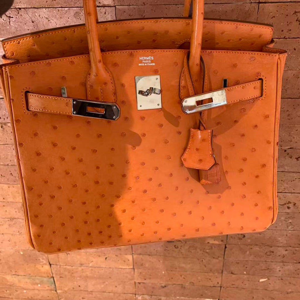 Birkin 30 Orange Ostrich