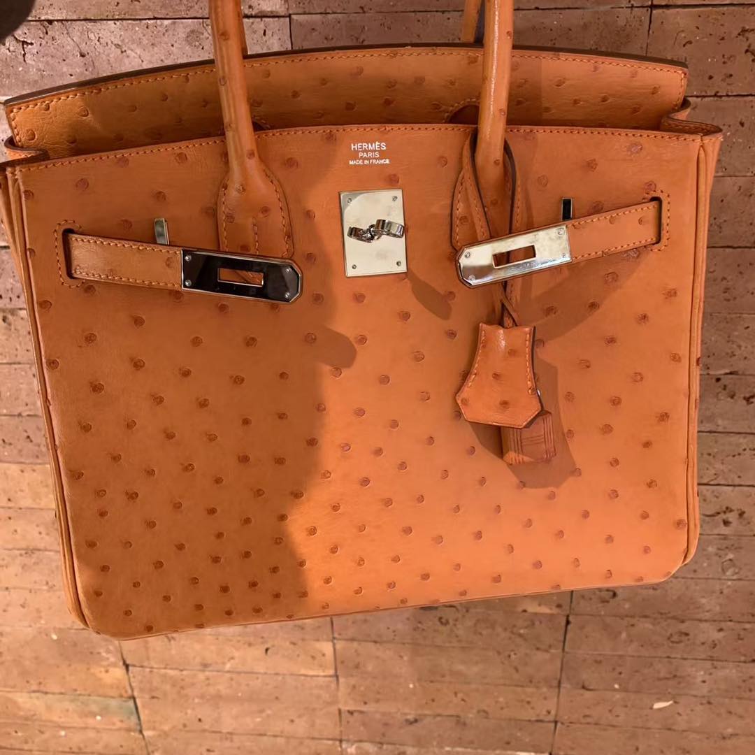 Birkin 30 Orange Ostrich