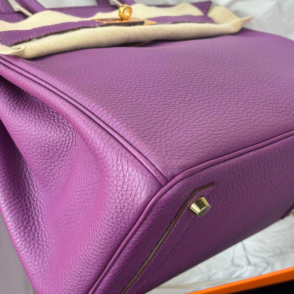 Birkin 30 Anemone