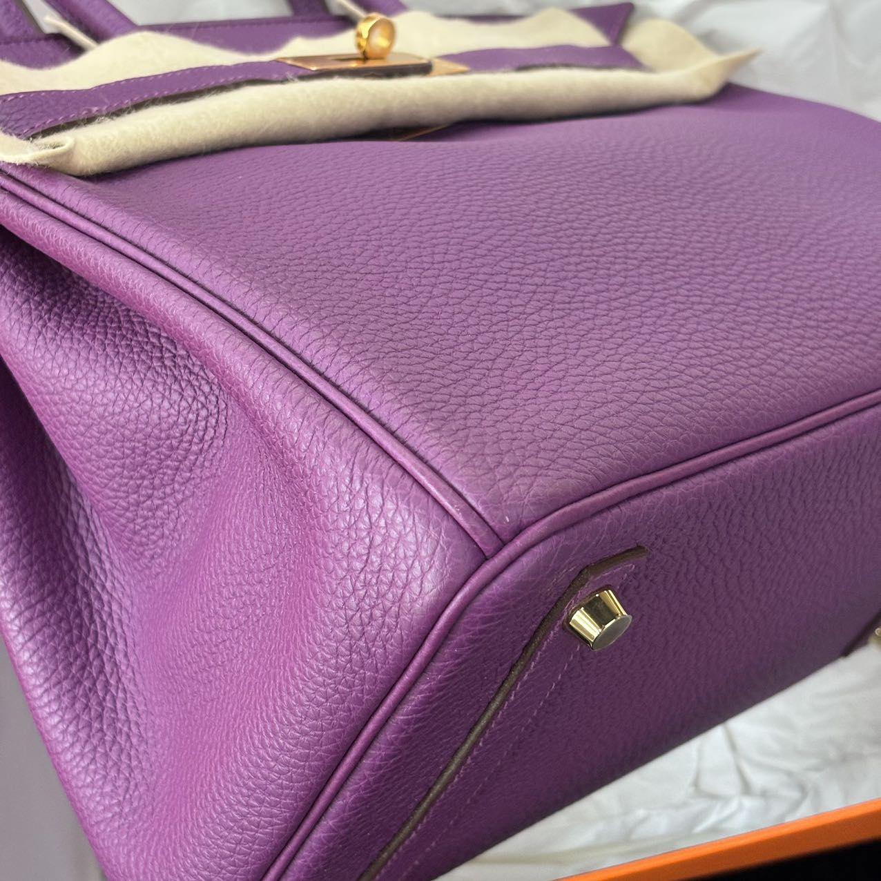 Birkin 30 Anemone