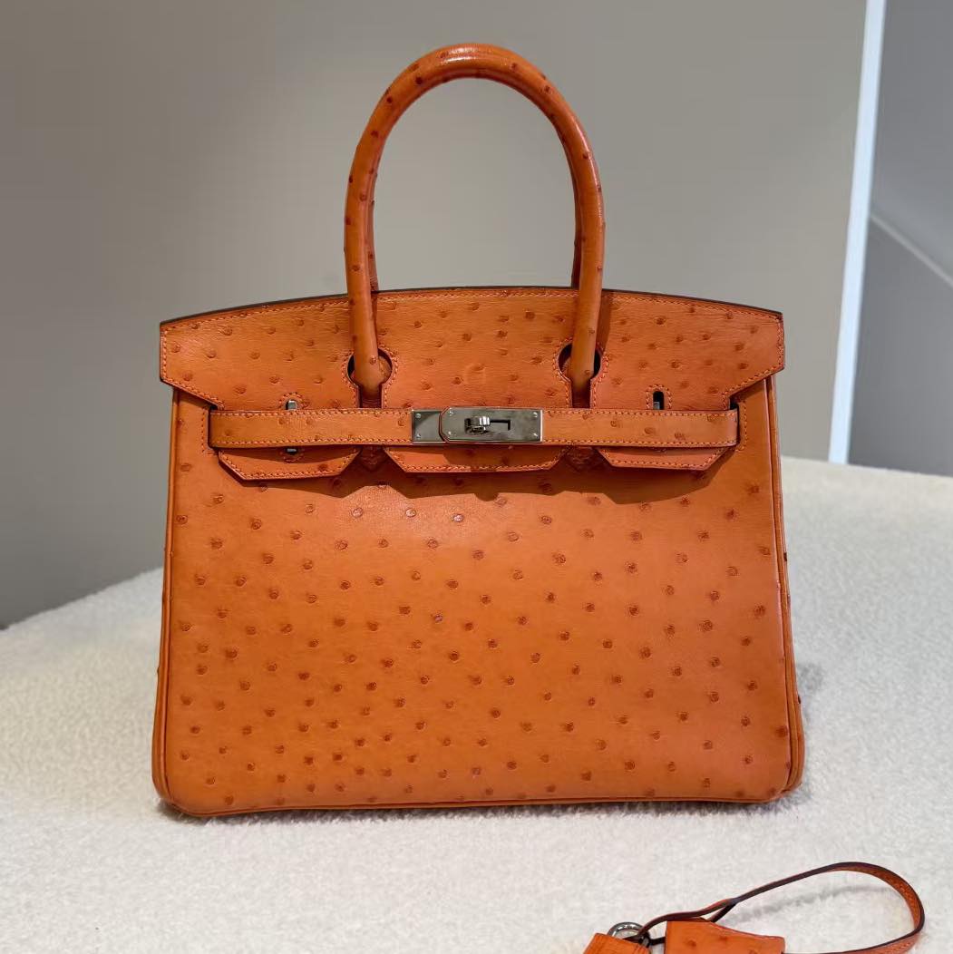 Birkin 30 Orange Ostrich
