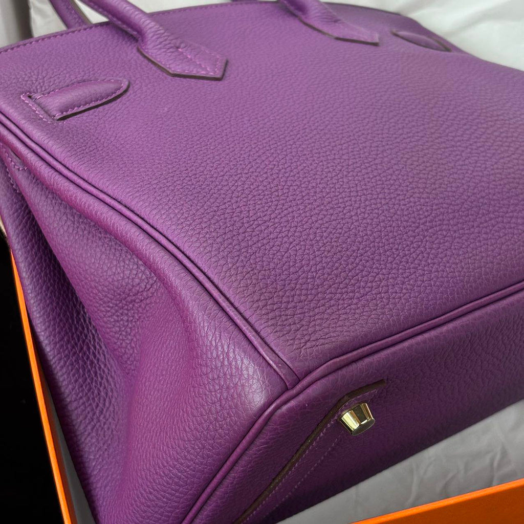Birkin 30 Anemone