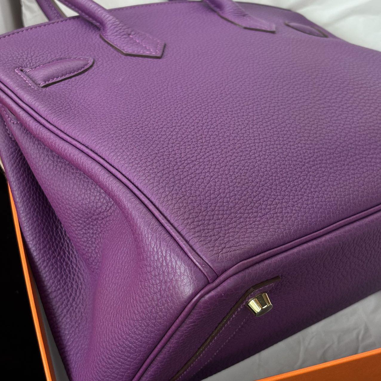 Birkin 30 Anemone