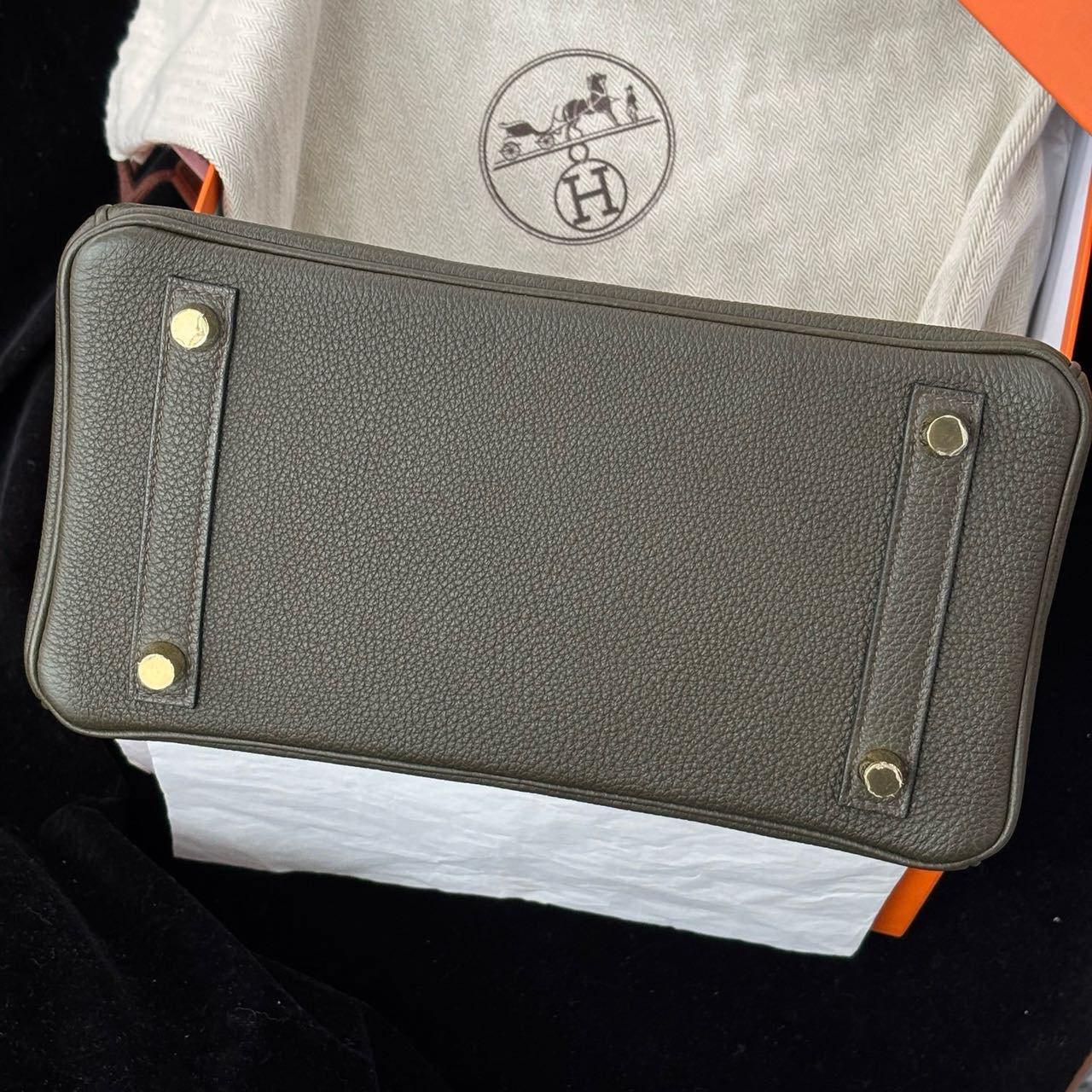 Birkin 25 Canopée