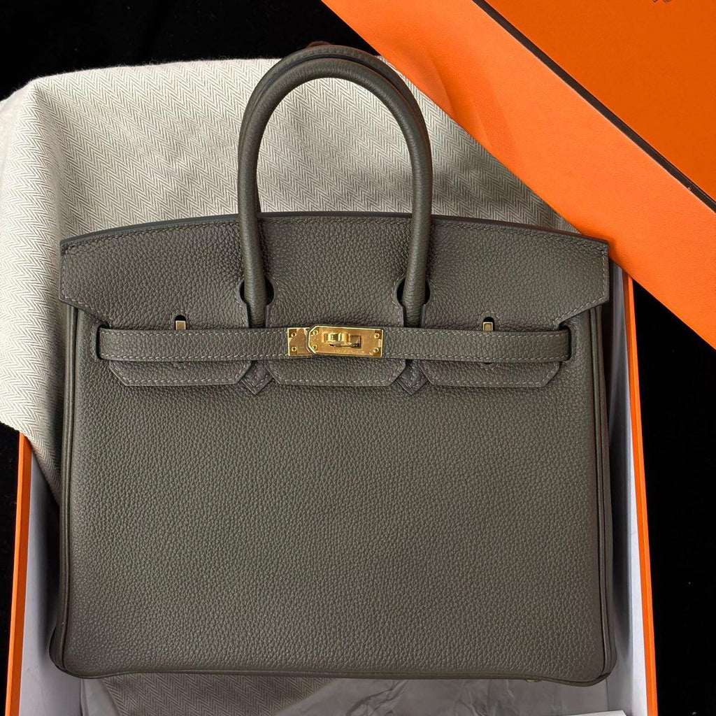 Birkin 25 Canopée