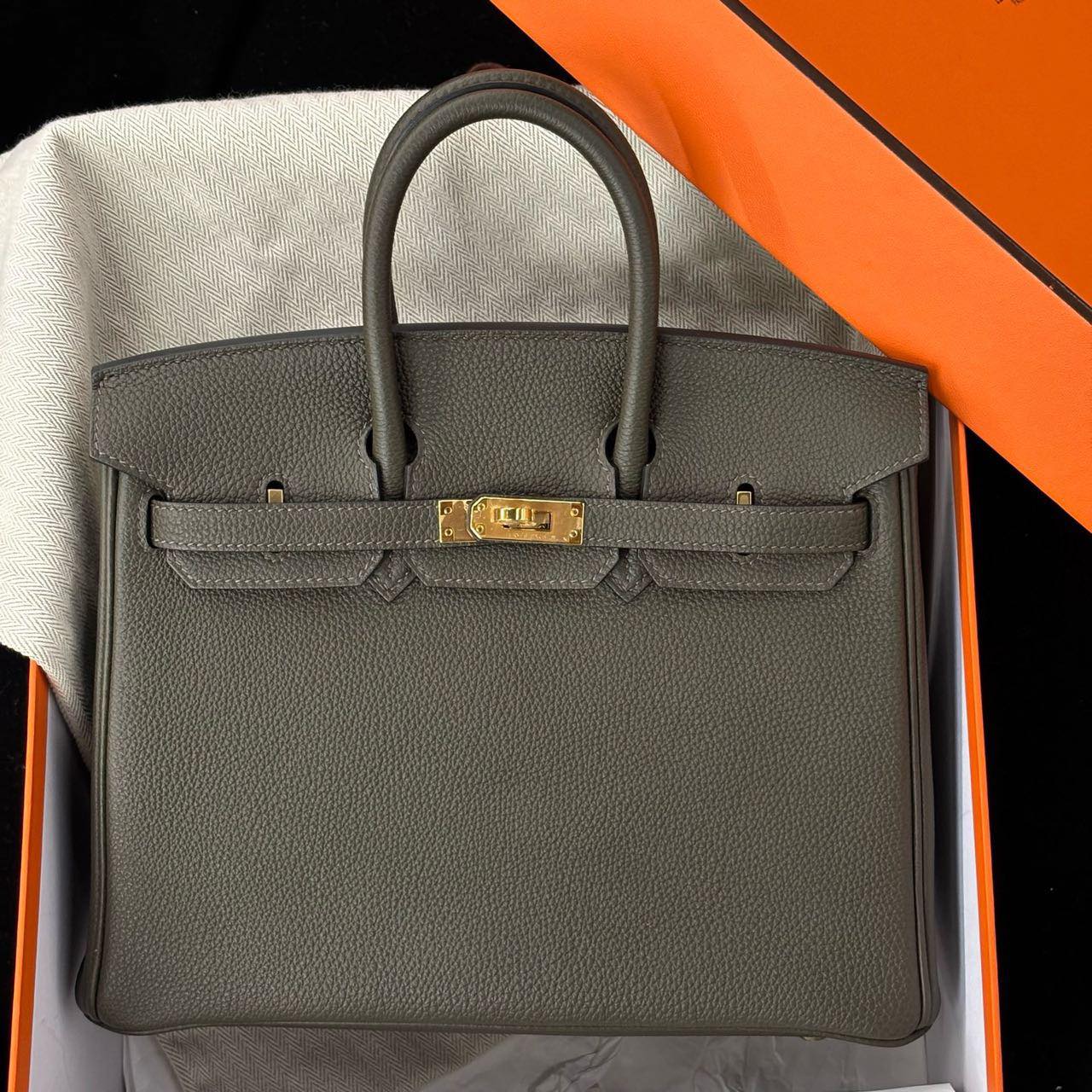 Birkin 25 Canopée