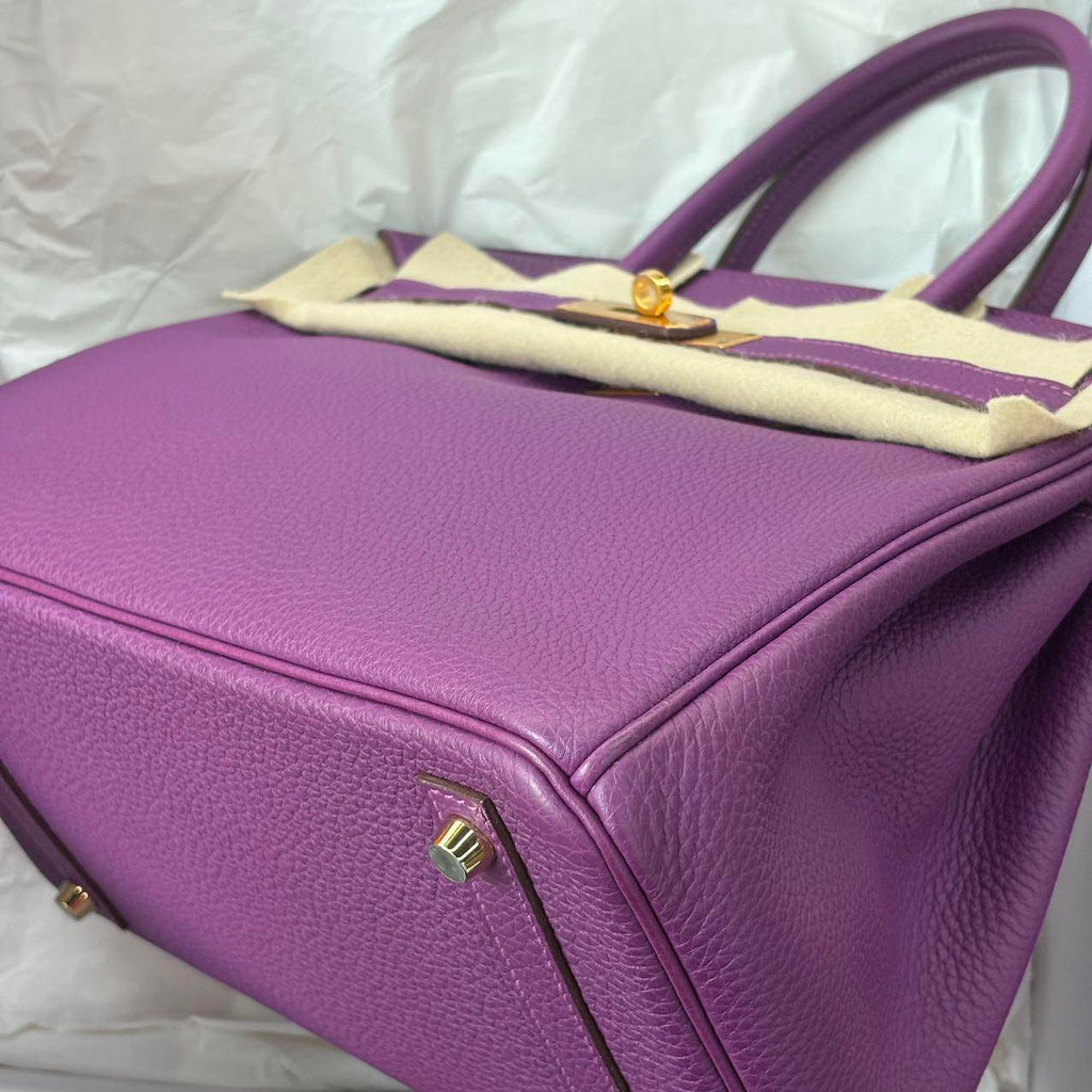 Birkin 30 Anemone