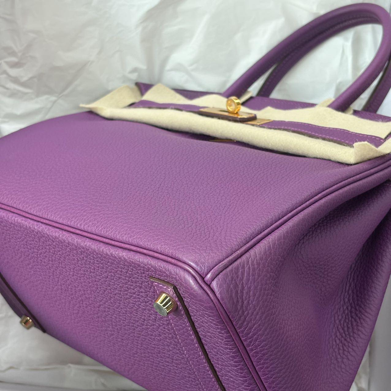 Birkin 30 Anemone