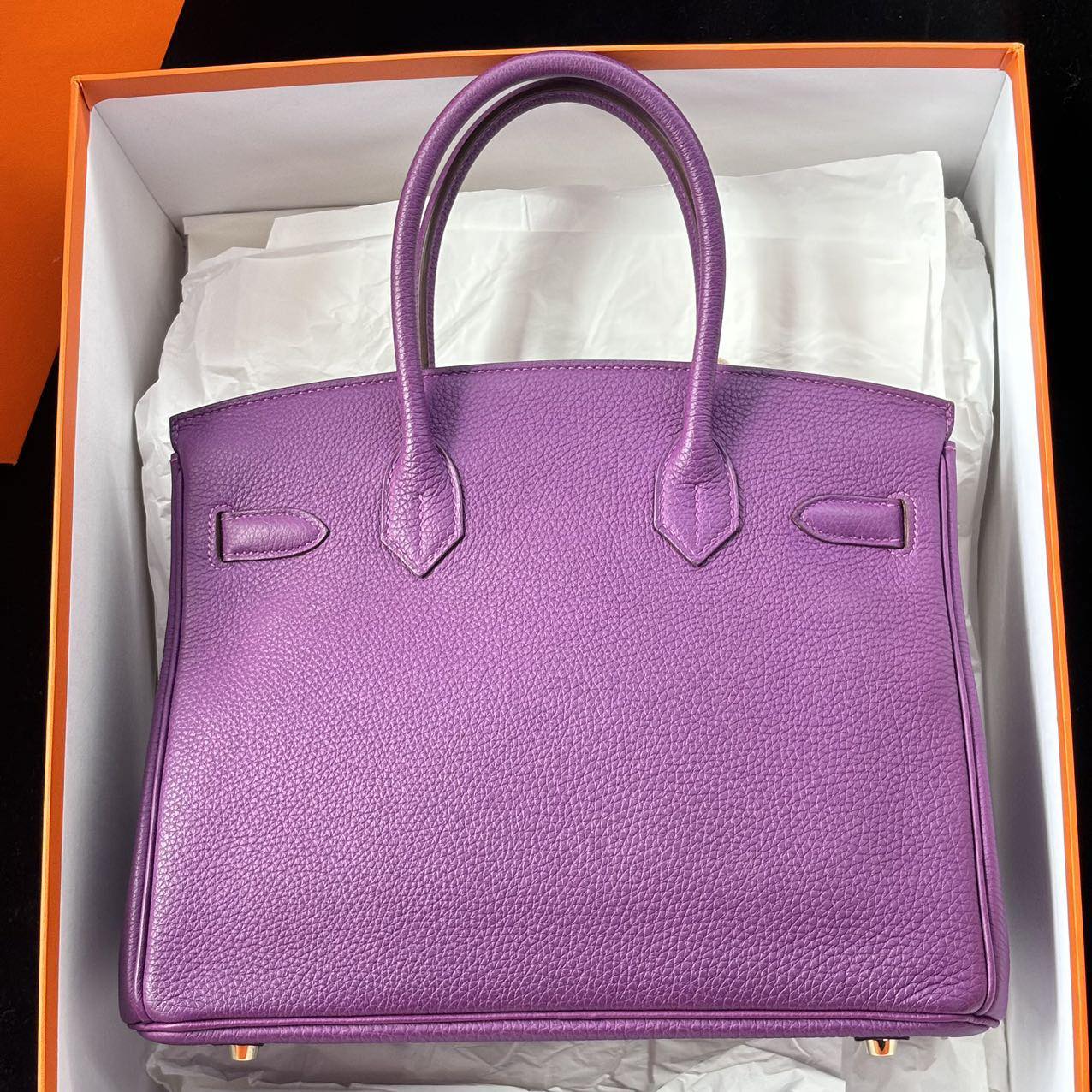 Birkin 30 Anemone