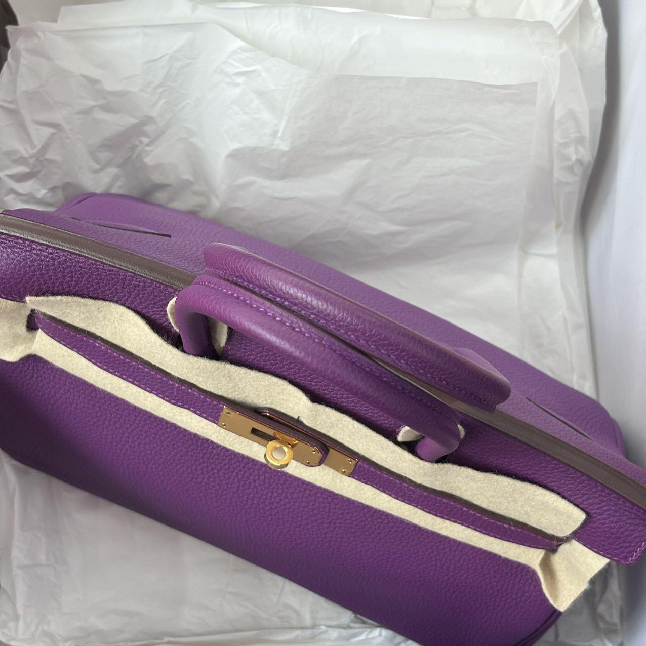 Birkin 30 Anemone