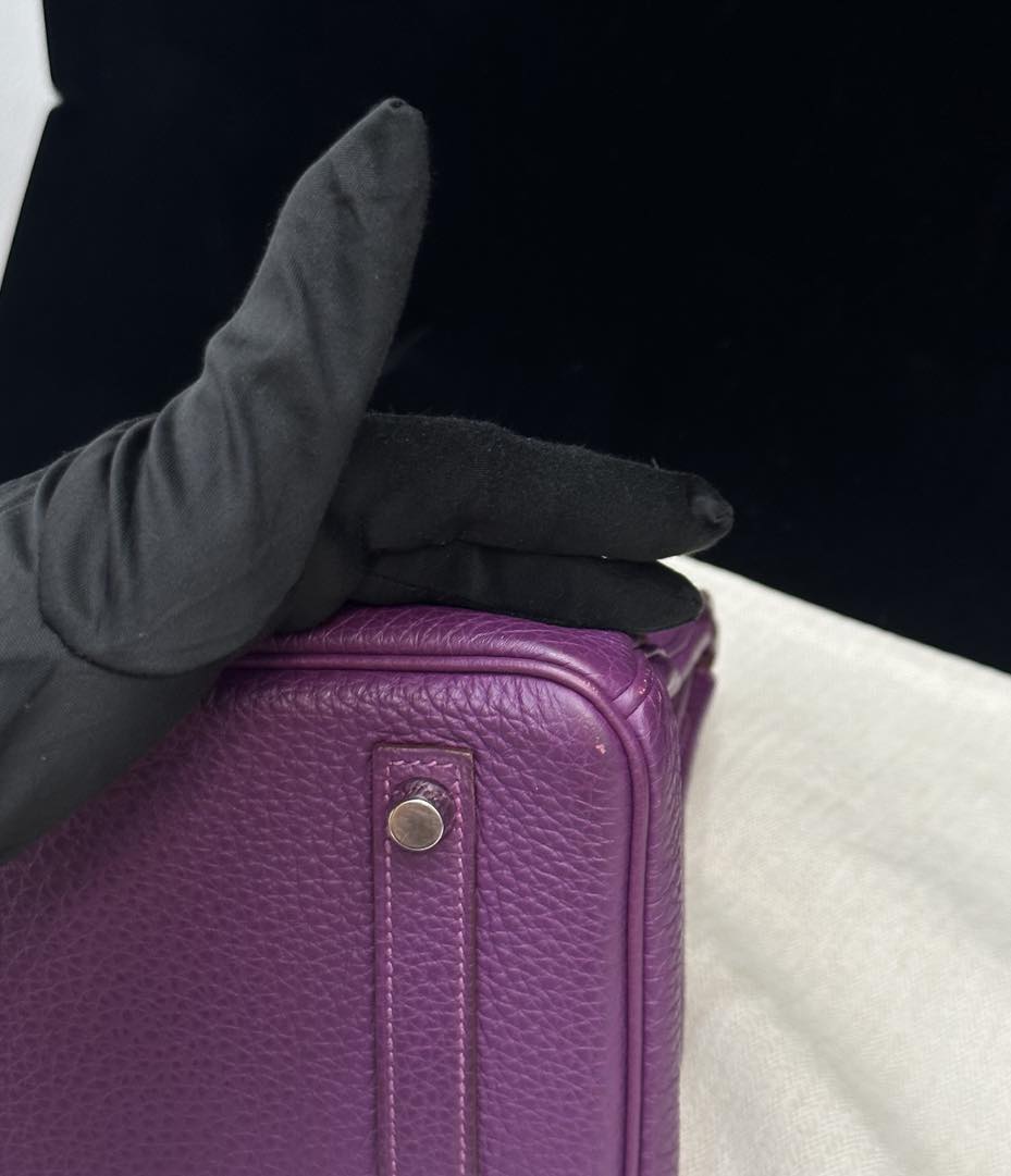 Birkin 30 Anemone
