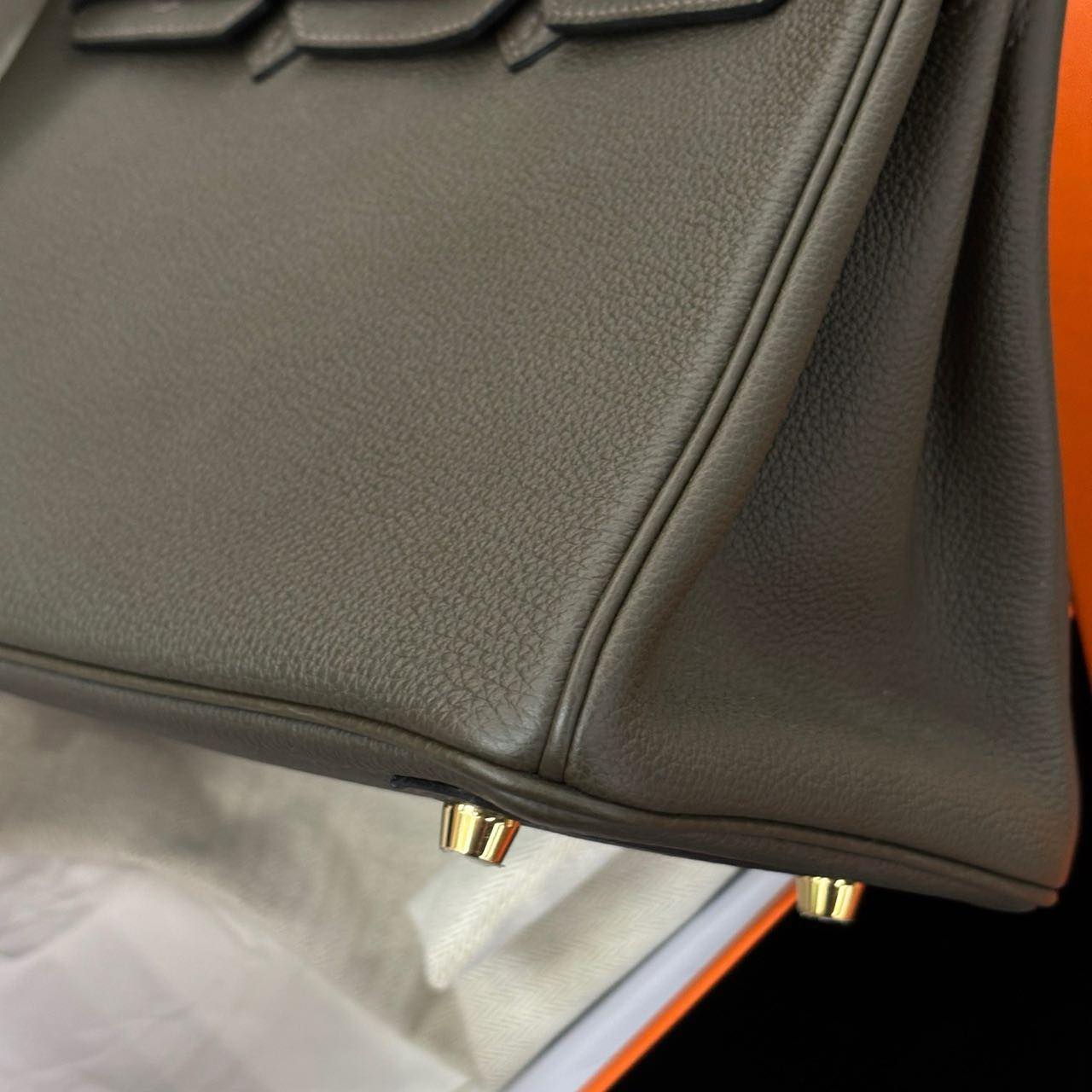 Birkin 25 Canopée