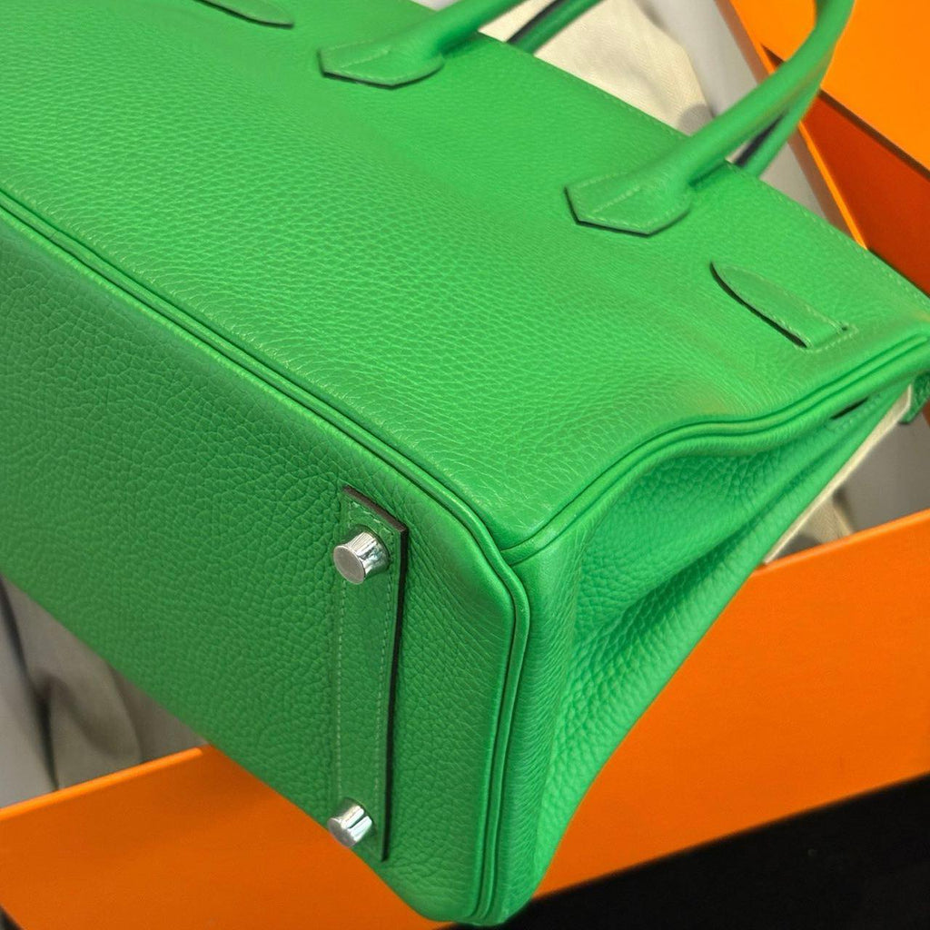 Birkin 30 Bamboo