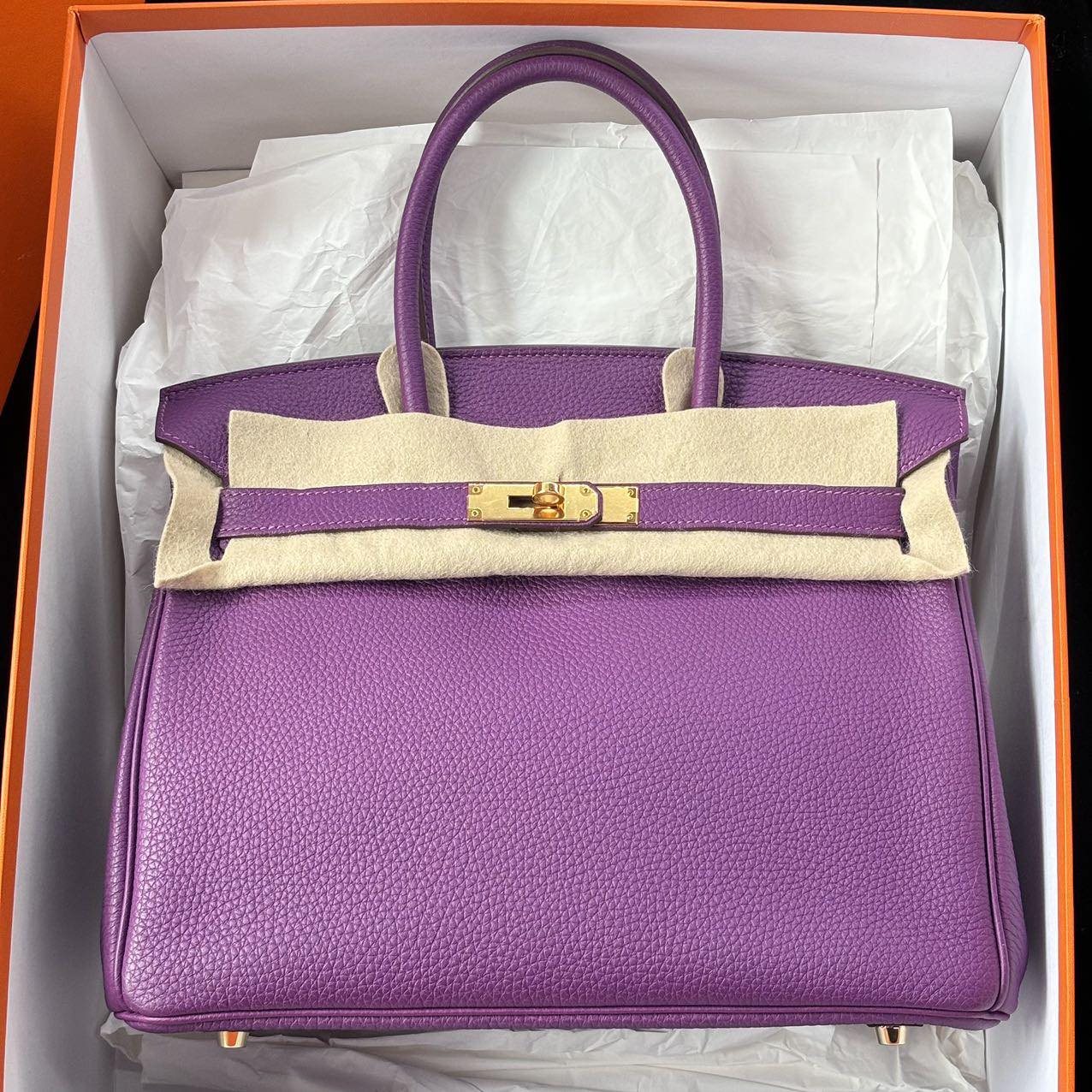 Birkin 30 Anemone