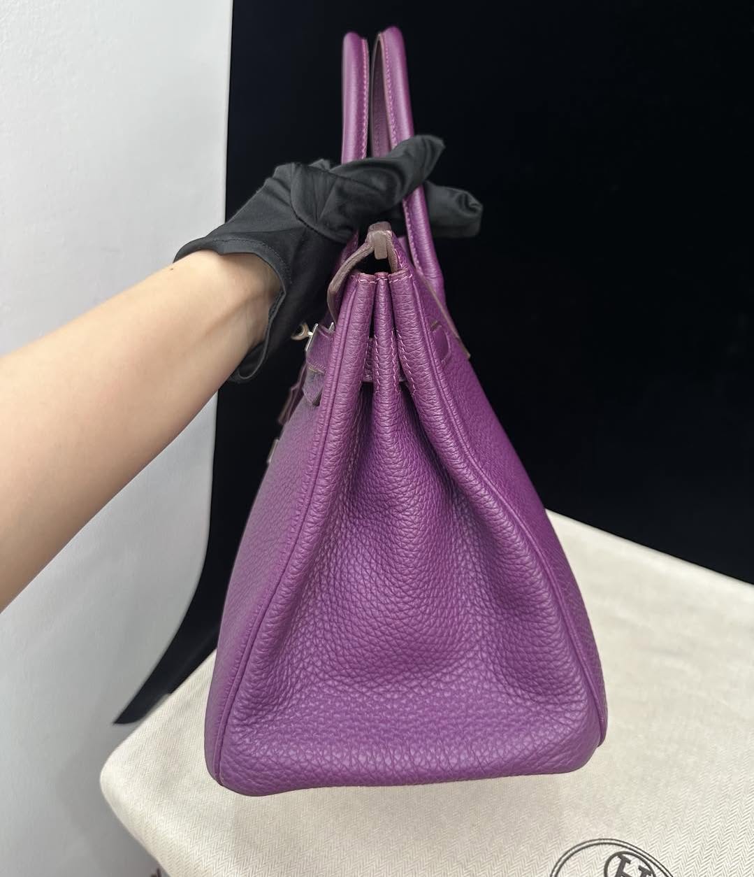 Birkin 30 Anemone