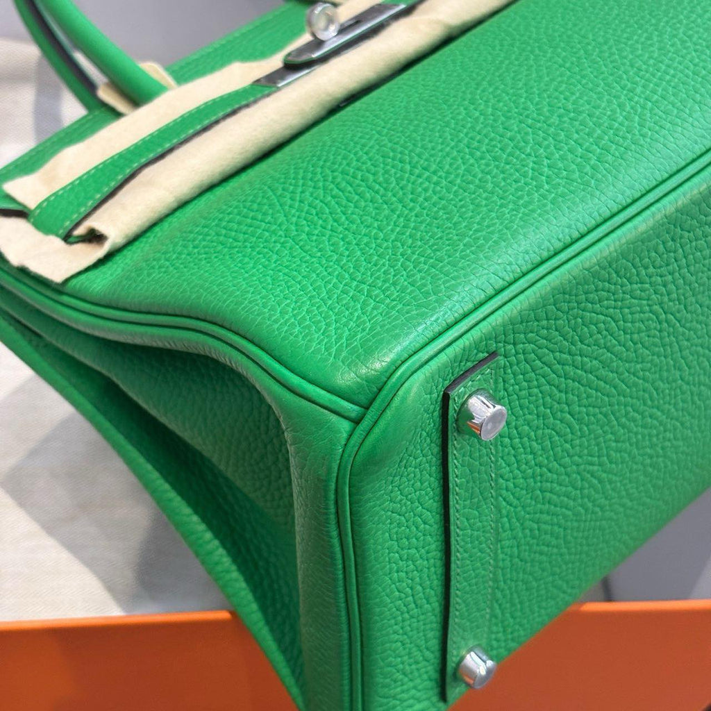 Birkin 30 Bamboo