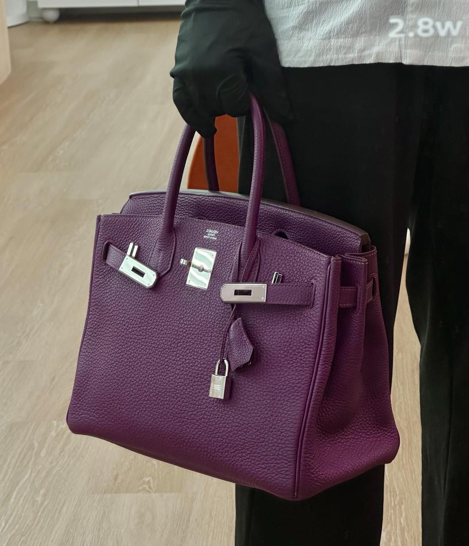 Birkin 30 Anemone