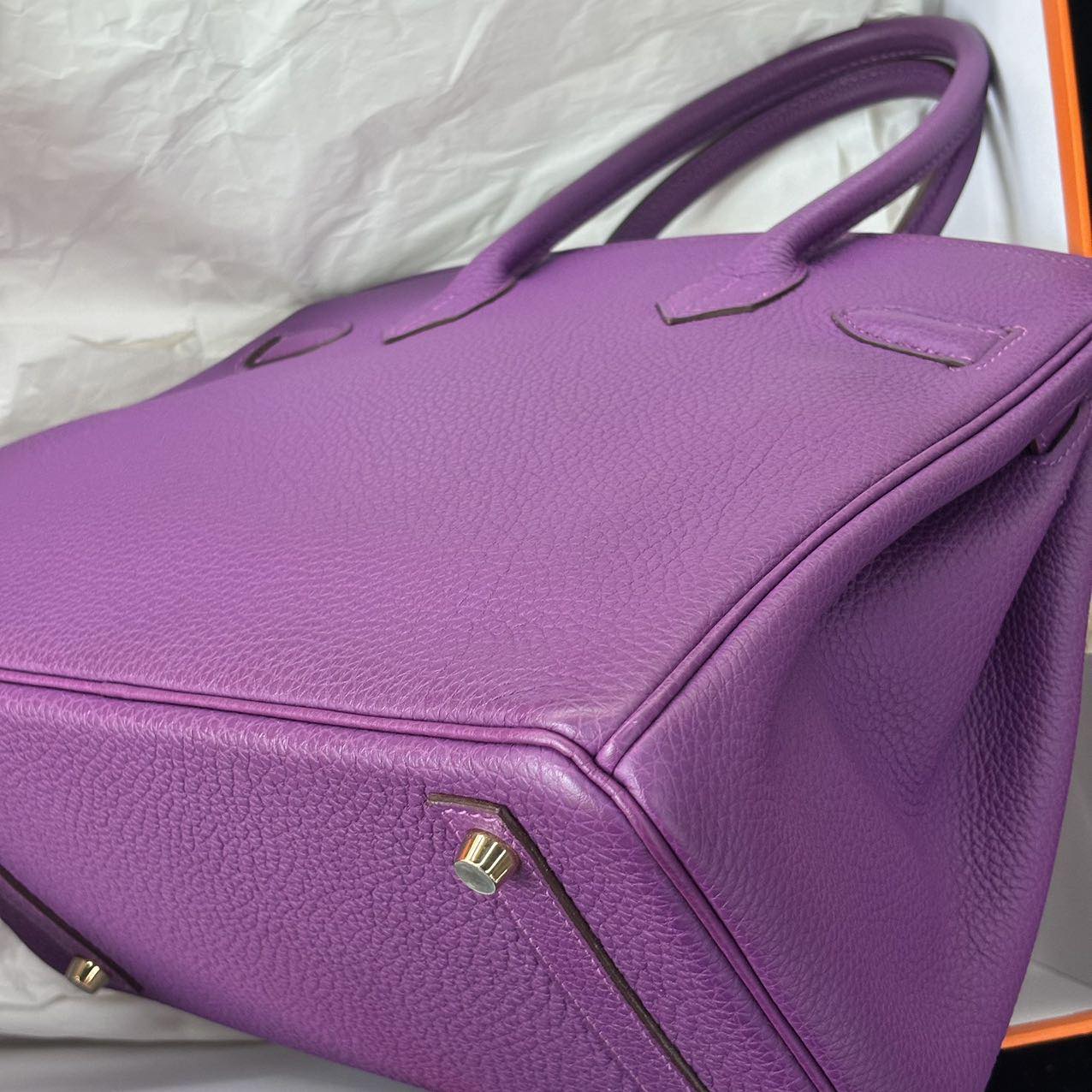 Birkin 30 Anemone