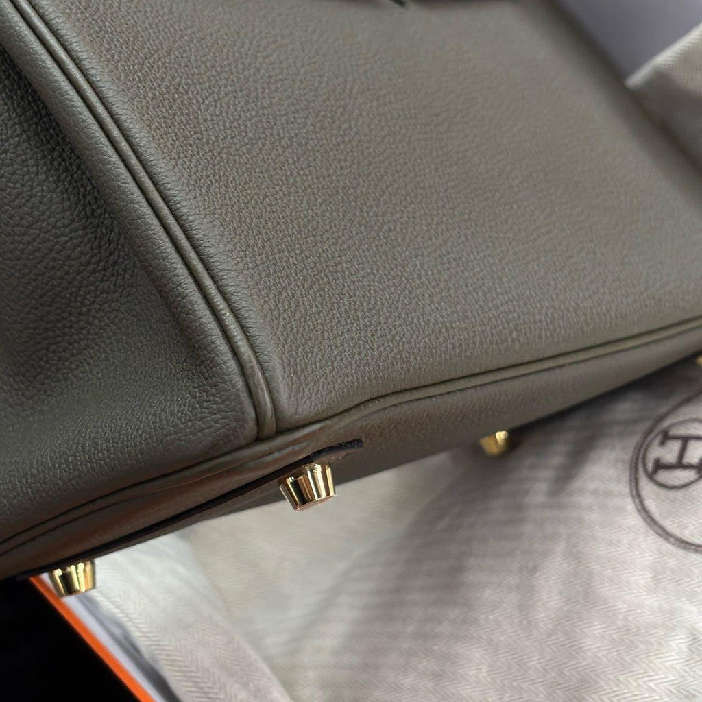 Birkin 25 Canopée