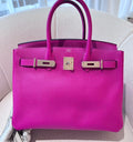 Birkin 30 Rose Purple
