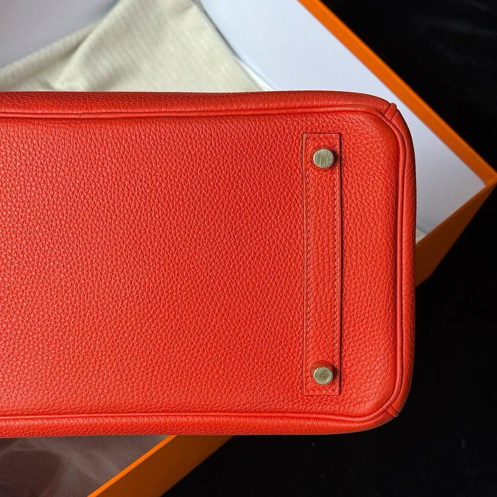 Birkin 30 Capucine