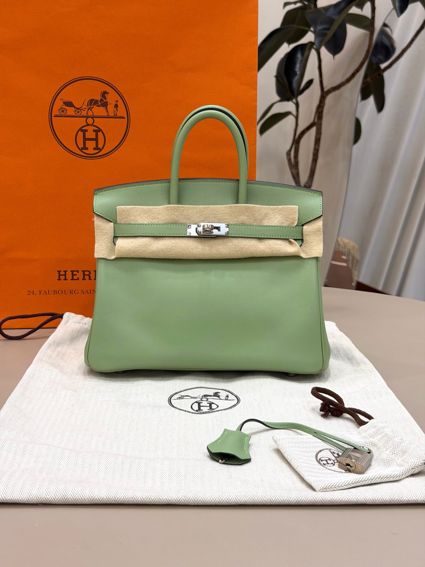 Birkin 25 Vert Criquet