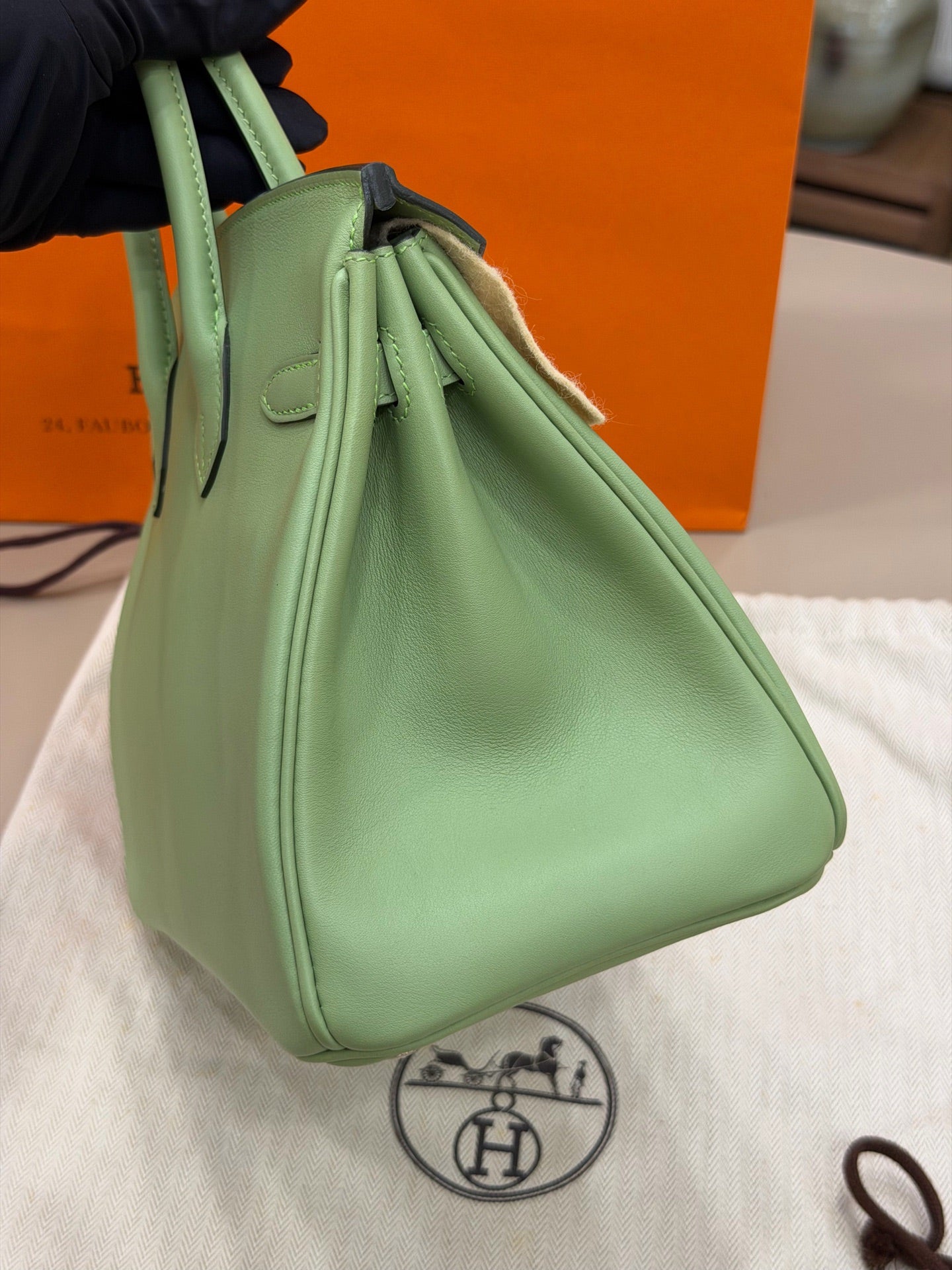 Birkin 25 Vert Criquet