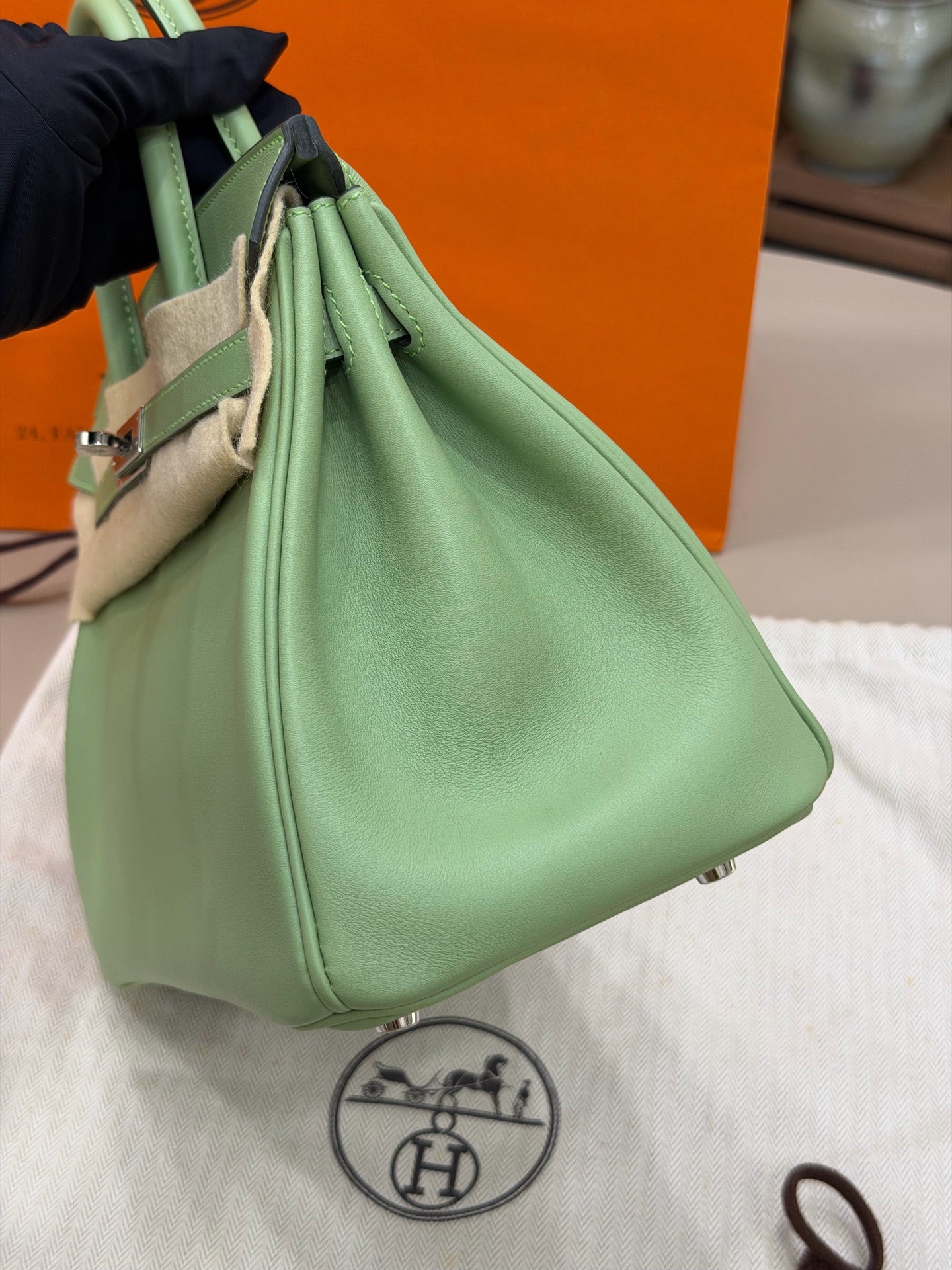Birkin 25 Vert Criquet
